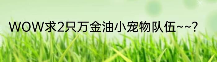 WOW求2只万金油小宠物队伍~~？