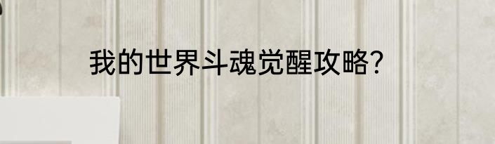 我的世界斗魂觉醒攻略？