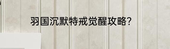 羽国沉默特戒觉醒攻略？