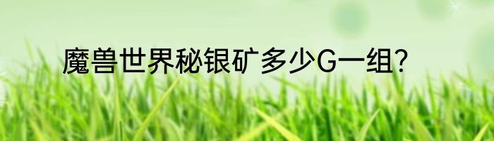 魔兽世界秘银矿多少G一组？