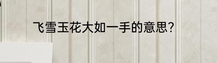 飞雪玉花大如一手的意思？