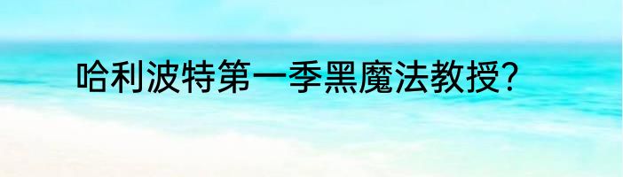 哈利波特第一季黑魔法教授？