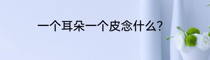 一个耳朵一个皮念什么？