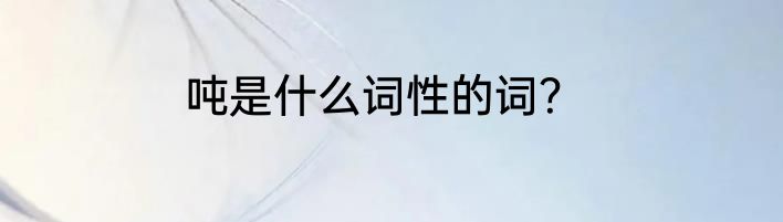 吨是什么词性的词？