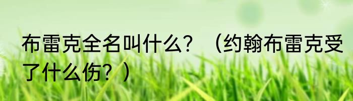 布雷克全名叫什么？（约翰布雷克受了什么伤？）