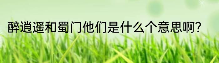 醉逍遥和蜀门他们是什么个意思啊？