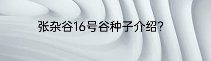 张杂谷16号谷种子介绍？