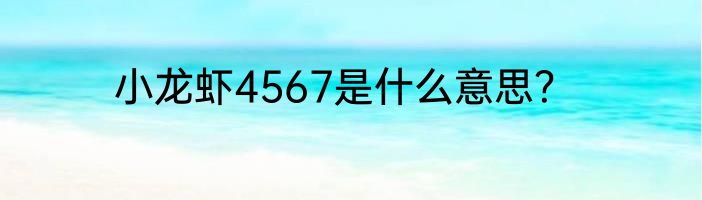小龙虾4567是什么意思？