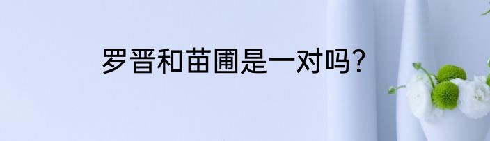 罗晋和苗圃是一对吗？