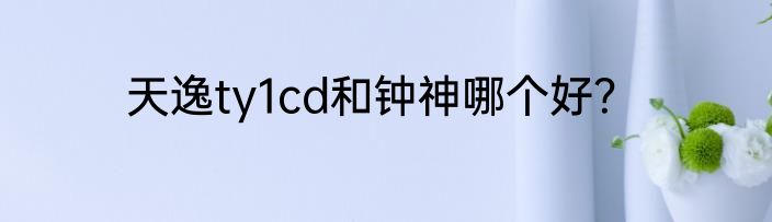 天逸ty1cd和钟神哪个好？