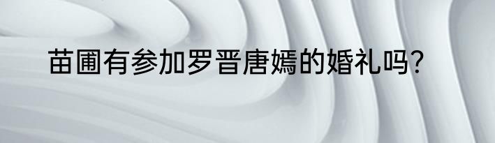 苗圃有参加罗晋唐嫣的婚礼吗？