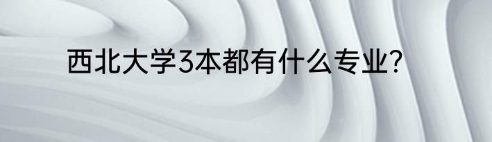 西北大学3本都有什么专业？