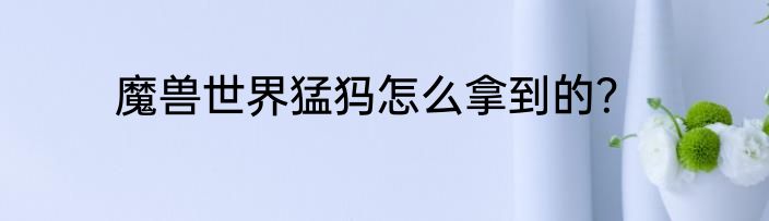魔兽世界猛犸怎么拿到的？