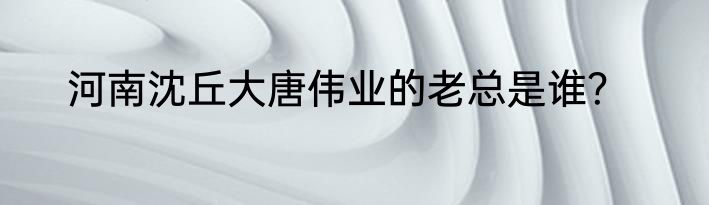 河南沈丘大唐伟业的老总是谁？