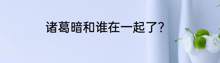 诸葛暗和谁在一起了？