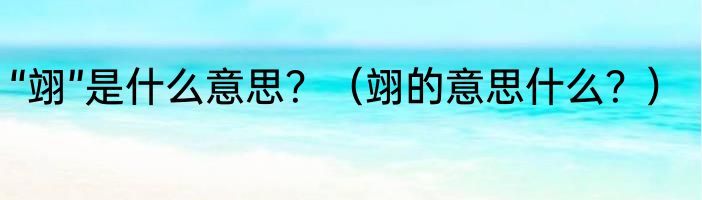 “翊”是什么意思？（翊的意思什么？）