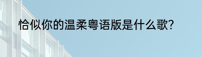 恰似你的温柔粤语版是什么歌？