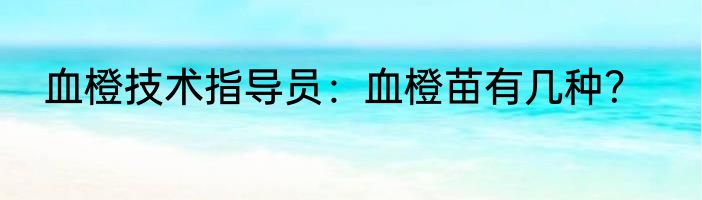 血橙技术指导员：血橙苗有几种？