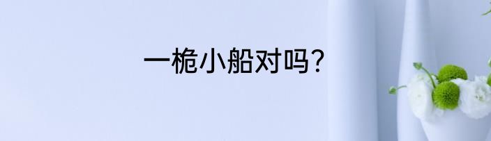 一桅小船对吗？