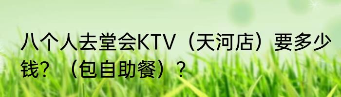 八个人去堂会KTV（天河店）要多少钱？（包自助餐）？