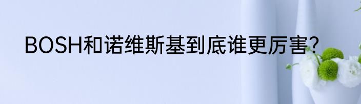 BOSH和诺维斯基到底谁更厉害？