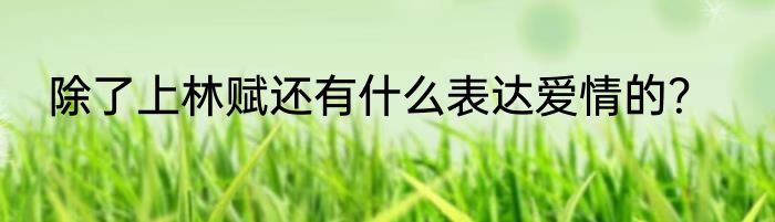 除了上林赋还有什么表达爱情的？