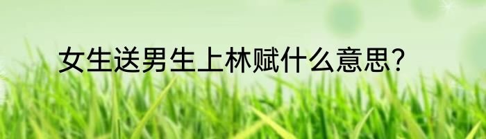 女生送男生上林赋什么意思？