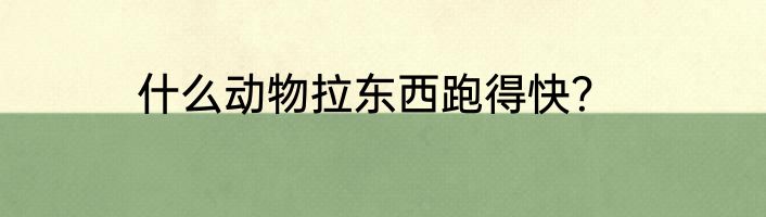 什么动物拉东西跑得快？