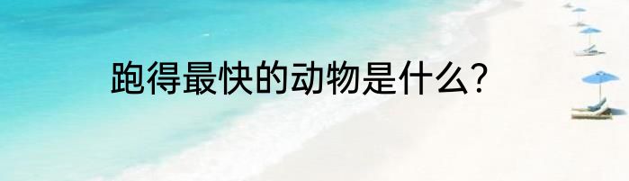 跑得最快的动物是什么？