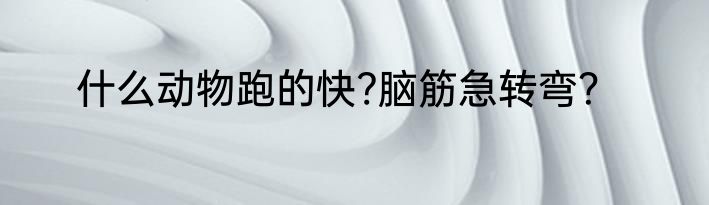 什么动物跑的快?脑筋急转弯？