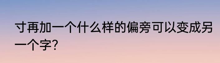 寸再加一个什么样的偏旁可以变成另一个字？
