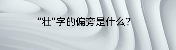 “壮”字的偏旁是什么？