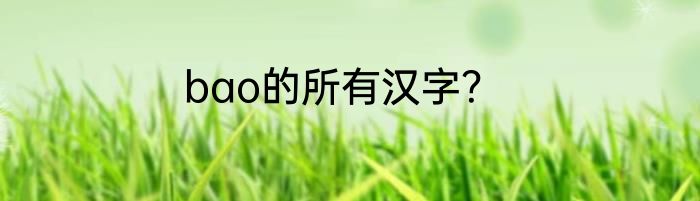 bao的所有汉字？