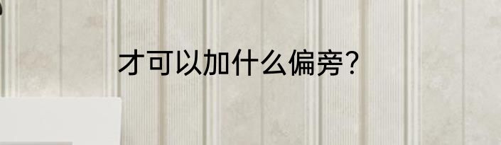 才可以加什么偏旁？