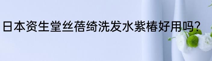 日本资生堂丝蓓绮洗发水紫椿好用吗？