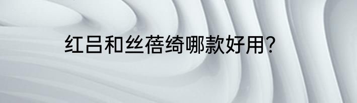 红吕和丝蓓绮哪款好用？
