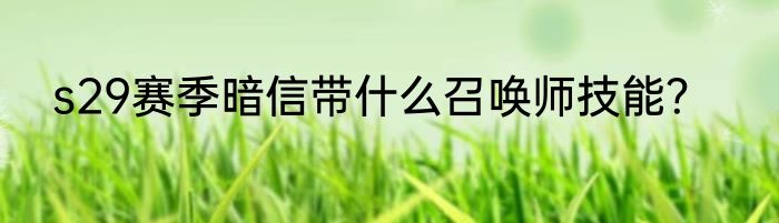 s29赛季暗信带什么召唤师技能？