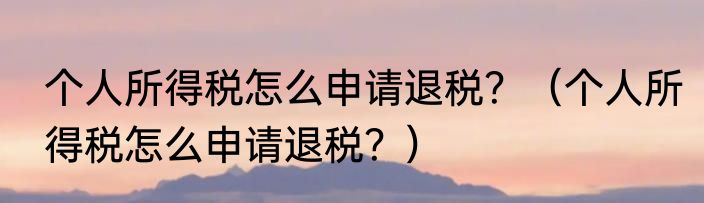个人所得税怎么申请退税？（个人所得税怎么申请退税？）