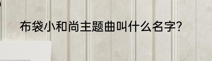 布袋小和尚主题曲叫什么名字？
