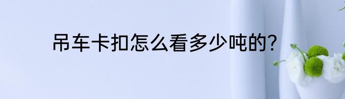 吊车卡扣怎么看多少吨的？