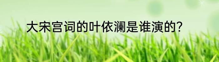 大宋宫词的叶依澜是谁演的？