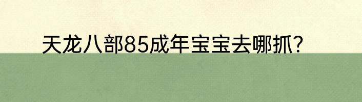 天龙八部85成年宝宝去哪抓？