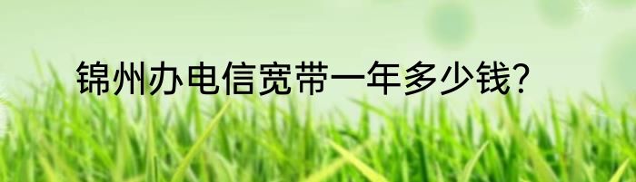 锦州办电信宽带一年多少钱？