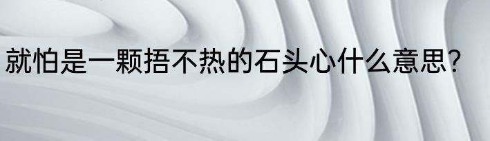就怕是一颗捂不热的石头心什么意思？