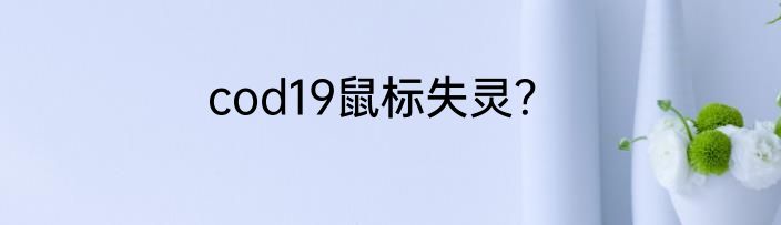 cod19鼠标失灵？
