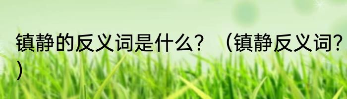 镇静的反义词是什么？（镇静反义词？）