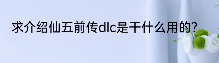 求介绍仙五前传dlc是干什么用的？