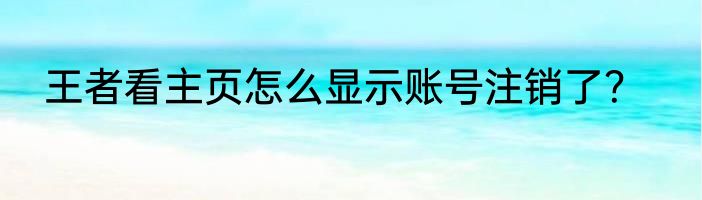 王者看主页怎么显示账号注销了？