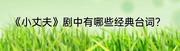 《小丈夫》剧中有哪些经典台词？
