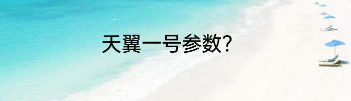 天翼一号参数？
